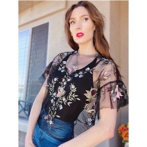 Zara Woman Sheer Black Embroidered Tulle Blouse Top